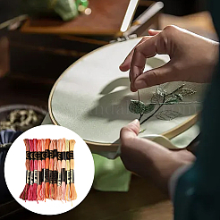 6層ポリエステル刺繍フロス  クロスステッチの糸  セグメント染めグラデーションカラー/クリスマス/秋カラーシリーズ  カラフル  0.5~1mm  約8.75ヤード（8m）/バンドル  12束/セット&nbsp;OCOR-WH20074-15E