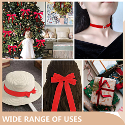 Бархатная лента&nbsp;SRIB--WH0030-01A