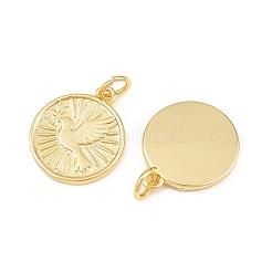 Messing Anhänger & Charms&nbsp;KK-L275-67G-G