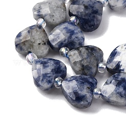 Натуральное синее пятно нитки из бисера яшмы G-P570-E19-01