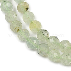 Природные пренит нитей бисера G-G281-B02-6mm