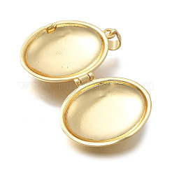 Подвески латуни медальон KK-D431-030C-G