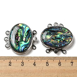 Застежка для коробки-ракушки paua&nbsp;G-C104-02H-P