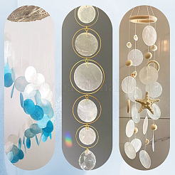 60 шт. 6 плоских круглых подвески из ракушек капиз&nbsp;SSHEL-SC0001-45