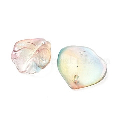 Стеклянные бусины смешанных стилей&nbsp;GLAA-XCP0001-70I