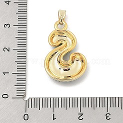 Pendentifs d'émail en alliage&nbsp;ENAM-S023-01G-S