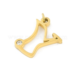 Подвески из нержавеющей стали 304&nbsp;LS-STAS-R137-01G-Y