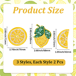 6 pezzo di ricamo in poliestere con tema frutta in 3 stili&nbsp;DIY-CY0003-61