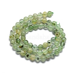 Природные пренит нитей бисера G-G457-6mm-03