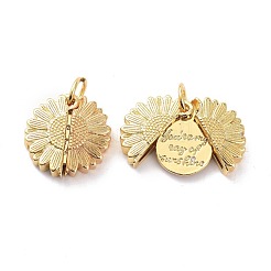 Кулоны из латуни с прозрачным кубическим цирконием&nbsp;KK-D004-14G