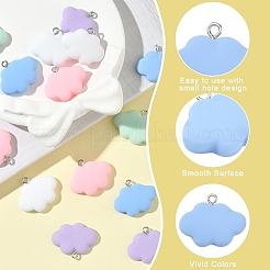 15шт 5 цвета подвески из смолы&nbsp;RESI-YW0005-57