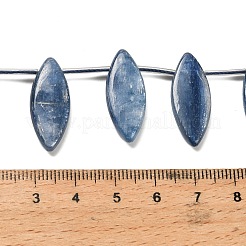 Натуральный кианитовые бисер пряди&nbsp;G-H335-H01-10x25mm