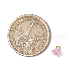 60 шт. 12-х цветные матовые акриловые цветочные подвески PALLOY-JF03550