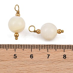 Natürlichen Süßwasser-Muschel Anhänger&nbsp;SH-CBA5EEC-10G