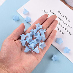 Прозрачные акриловые бусины PLF018-06