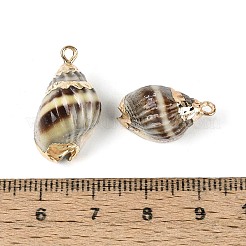 Гальванические подвески из натуральной спирали&nbsp;SSHEL-N042-03