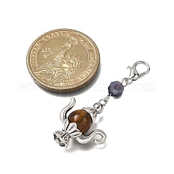 8 шт. Подвеска для чайника из натурального драгоценного камня HJEW-JM04086