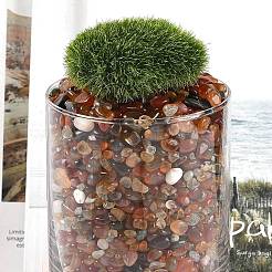 Окрашенные и нагретые натуральные бусины из агата&nbsp;G-J402-04A-02