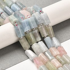 Природные морганит нитей бисера G-N327-06-03