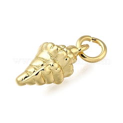 Messing Anhänger & Charms&nbsp;ZIRC-I070-089G