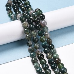 Природные моховой агат бисер нитей G-E571-21B