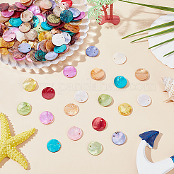 160 шт. подвески из натуральной ракушки акойя SHEL-ME0001-07