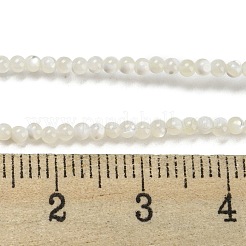 Нити бусин из натуральных трохоидных/трохус ракушек BSHE-Z005-01