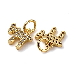 Латунные микропаве кубические цирконии чайные подвески KK-P308-62G