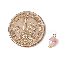 Цветочные акриловые подвески&nbsp;PALLOY-JF03588-05