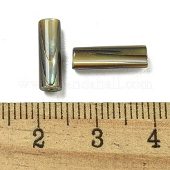 Бусины из натуральной ракушки пауа BSHE-G039-06