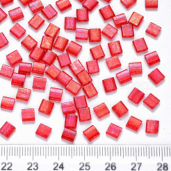 Perles de verre transparentes à peindre à 2 trou fgb&nbsp;X-SEED-S031-L-254