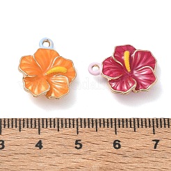 Pendentifs d'émail en alliage&nbsp;AL-CBA55D2-02G