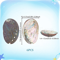 Dekorationen aus natürlichen Paua-Muscheln&nbsp;DJEW-WH0042-147