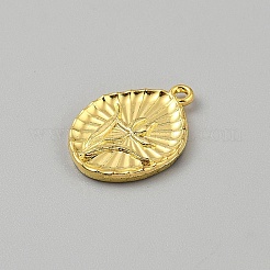 Emaille Anhänger Legierung&nbsp;LS-FIND-WH20032-61C
