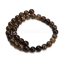 Stile tibetano perline dzi fili&nbsp;GG-CBA4812-B05-10MM