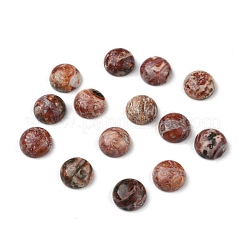 Naturleopardenfell Cabochons&nbsp;X-G-LS12x5