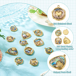 12 stücke 6 arten 304 edelstahl pflastern natürliche paua shell anhänger&nbsp;STAS-TA0005-90