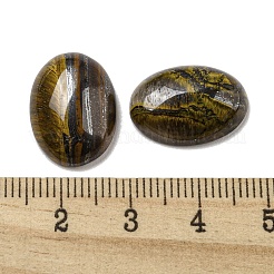 Natürliche Tigereisen-Cabochons&nbsp;G-C115-01A-28
