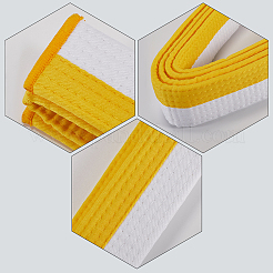 Пояс для тхэквондо&nbsp;AJEW-WH0314-341J