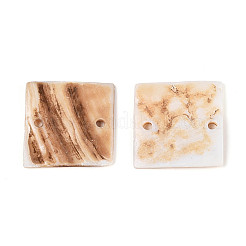 Подвески из натуральной пресноводной раковины SHEL-N038-14