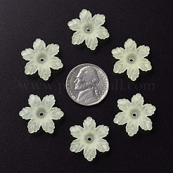 Прозрачные акриловые бусины MACR-S373-117-D03