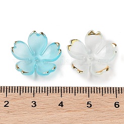 Акриловый шарик крышки&nbsp;OACR-H119-01C