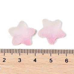 Cabochons en résine imitation bonbons style alimentaire&nbsp;RESI-R461-02K