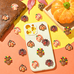 40 шт. 4 стиля кабошонов из смолы в стиле Дня благодарения&nbsp;RESI-SC0036-39