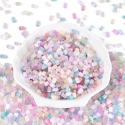 Стеклянный бисер в стиле волочильного станка&nbsp;SEED-N008-10