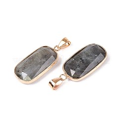 Природные подвески лабрадорита&nbsp;G-N349-03C-G