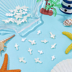 30 шт. 3 вида бусин из натуральной ракушки трохид/ракушки трохус SHEL-ME0001-04