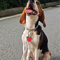 1шт держатель для карт из искусственной кожи&nbsp;KEYC-SP0001-46B