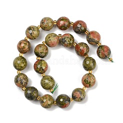 Природные Unakite бисер нитей G-C249-A174-16mm