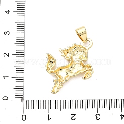 Messing Anhänger & Charms&nbsp;KK-H539-19I-G